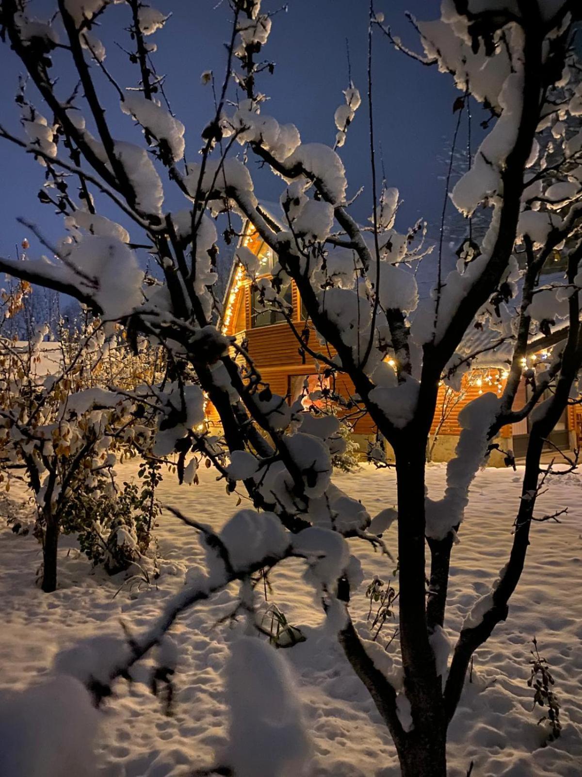Moonlake Chalet Gainesti Экстерьер фото