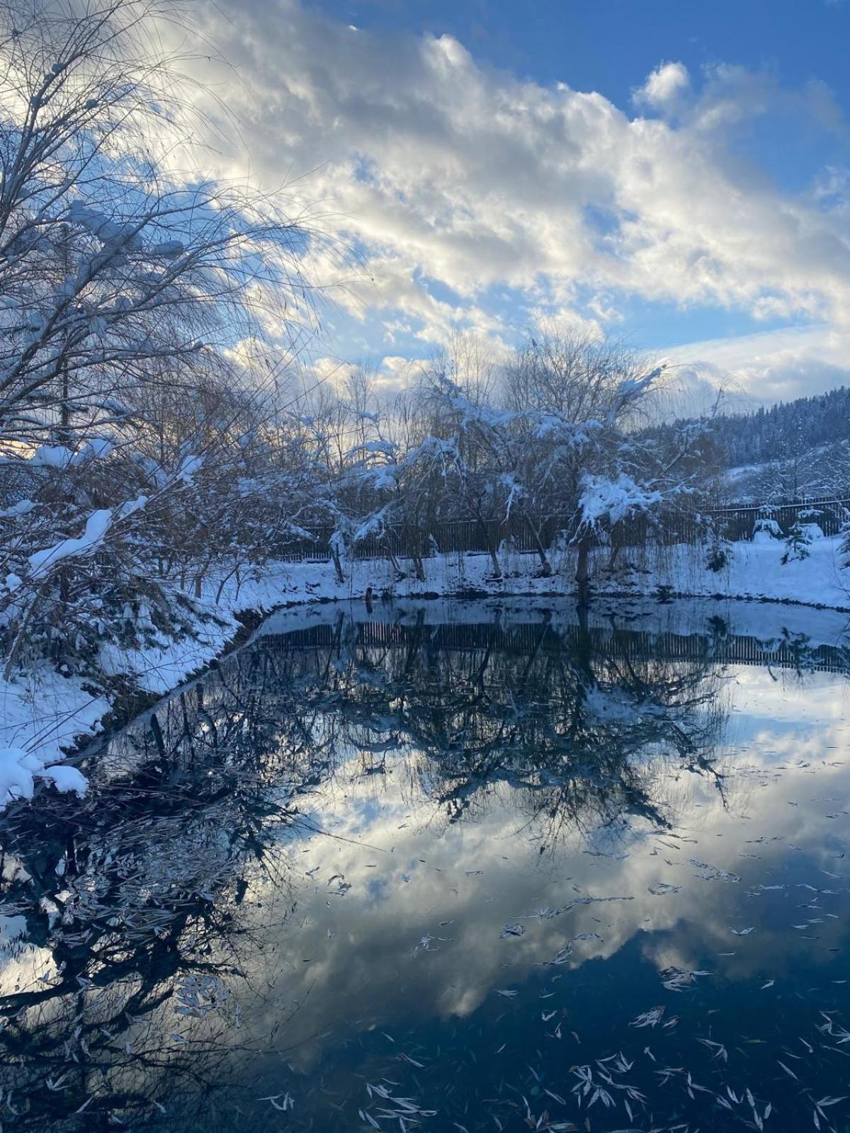 Moonlake Chalet Gainesti Экстерьер фото