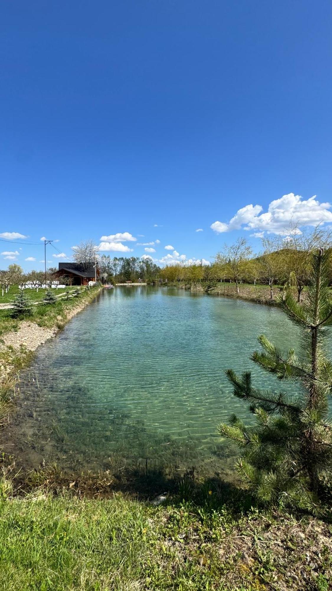 Moonlake Chalet Gainesti Экстерьер фото
